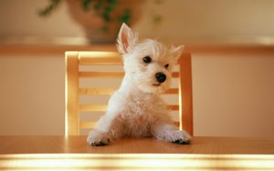 预算管理